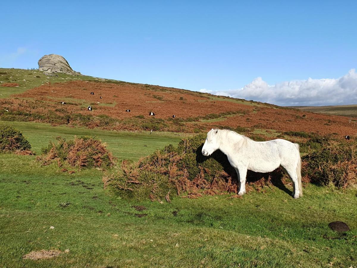 The Stable - The Cottages At Blackadon Farm Ivybridge Luaran gambar